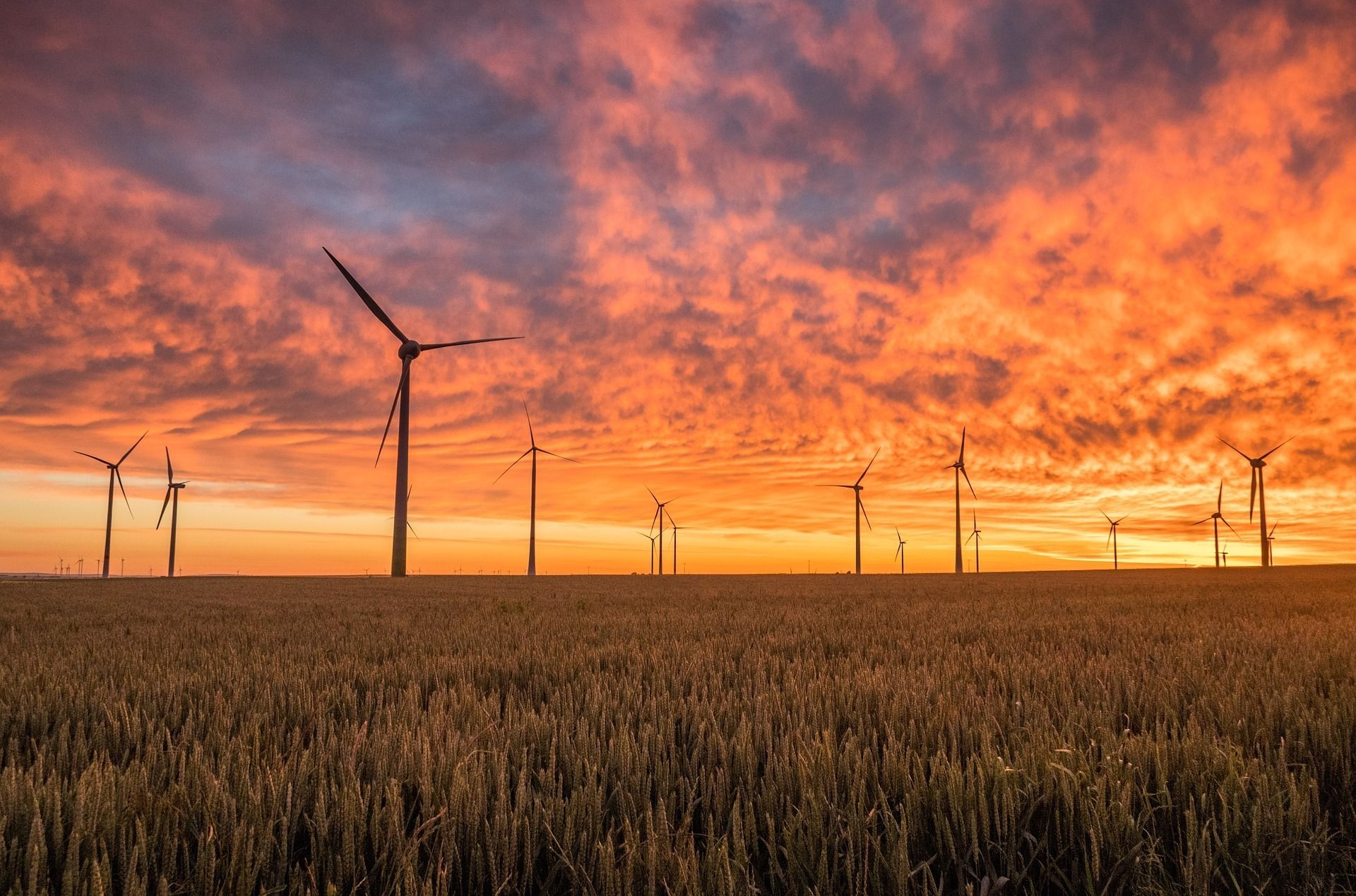 Solutions From Georgetown’s Top Renewable Energy Company